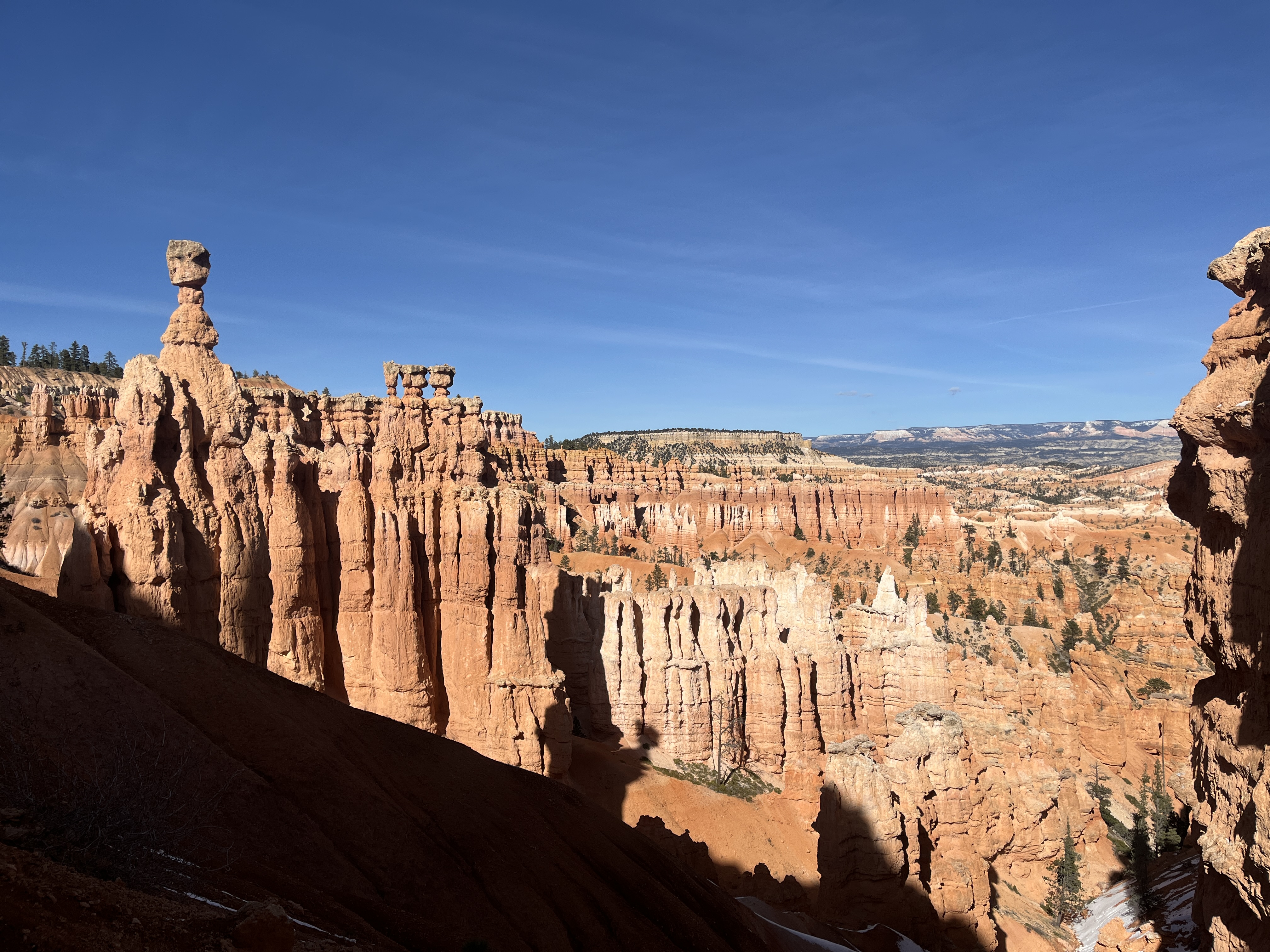 Wilderness Trek